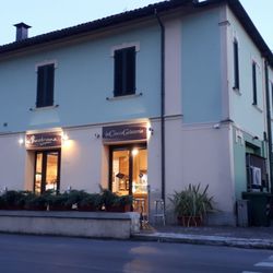Theobroma