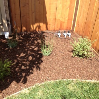 Castillo Landscaping & Tree Services - Landscaping Near Me - Redwood City, California Castillo Landscaping & Tree Services - Landscaping Near Me - Redwood City, California