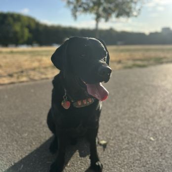 Wandsworth Park - @kayo_thedoggo - Parks Near Me - London, XGL