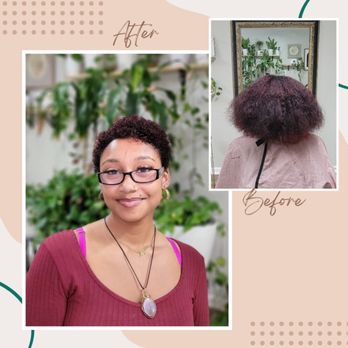 Nicole Ely Hair Studio - Before and after Haircut, curly hair, curly hair specialist, Pensacola FL salon. Nicole Ely Hair Studio - Hair Salons Near Me - Pensacola, Florida Nicole Ely Hair Studio - Before and after Haircut, curly hair, curly hair specialist, Pensacola FL salon. Nicole Ely Hair Studio - Hair Salons Near Me - Pensacola, Florida