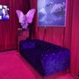 Kfir Moyal Gallery