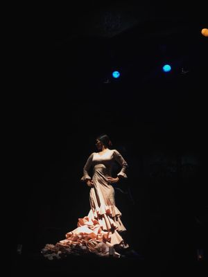 Teatro Flamenco Madrid by null