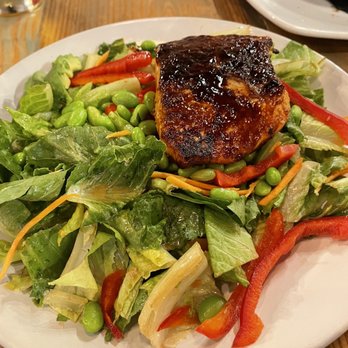 The Local - Yazhou Salmon Salad - Coffee & Tea Near Me - Jacksonville, Florida The Local - Yazhou Salmon Salad - Coffee & Tea Near Me - Jacksonville, Florida