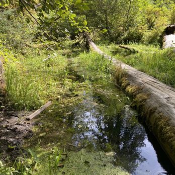 olympic hiking company