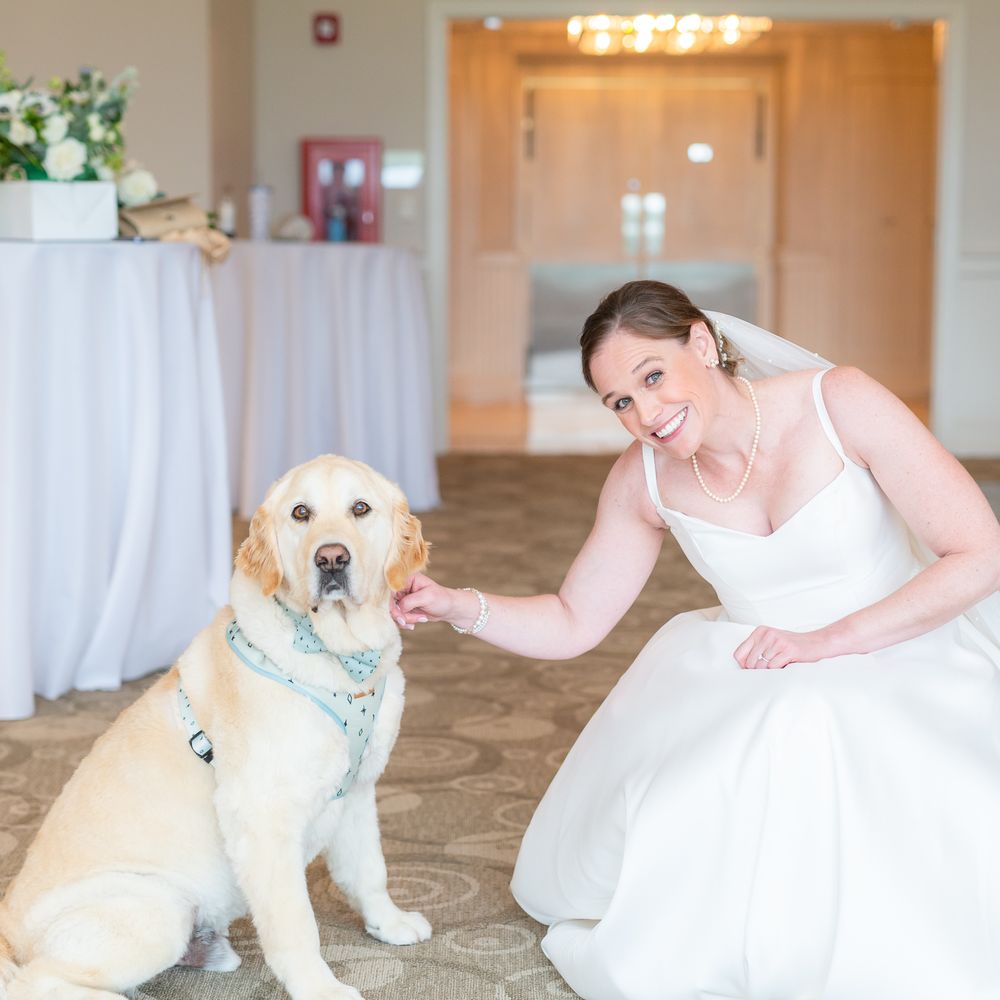 TOP 10 BEST Pet Groomers near Brewster, MA - Updated 2026 - Yelp, image size:1000x1000