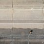Photo of Eco Friendz Window & Pressure Washing