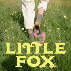 Little Fox