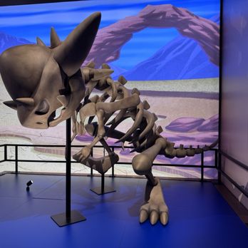Field Museum - Museums Near Me - Chicago, Illinois Field Museum - Museums Near Me - Chicago, Illinois