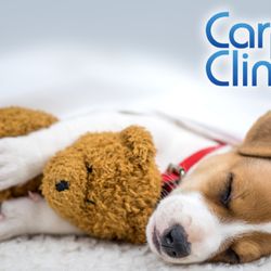 Carpet Clinic