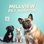 Photo of Millview Pet Hospital