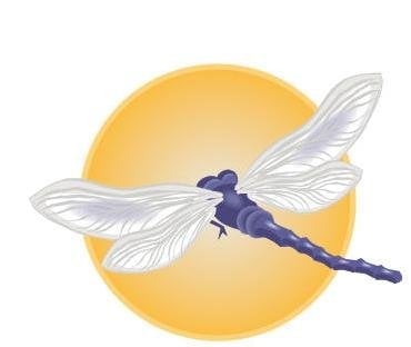 Dragonfly Reiki by null