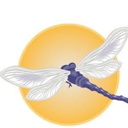 Dragonfly Reiki