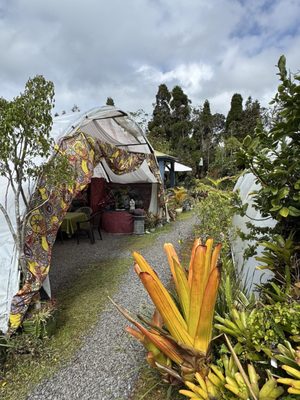 Volcano Garden Arts by null