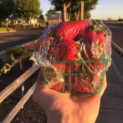 Fresh Strawberrys - One basket of strawberries!