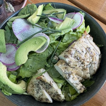 Parakeet Cafe - Coronado - Golden Goddess Salad (gf, v) with grilled chicken - Coffee & Tea Near Me - Coronado, California Parakeet Cafe - Coronado - Golden Goddess Salad (gf, v) with grilled chicken - Coffee & Tea Near Me - Coronado, California