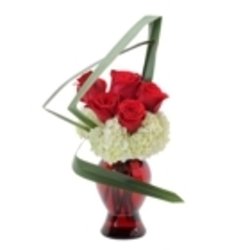 Bill Bush Flowers - Photo