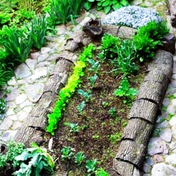 Gardens By Ruth - Raised bed vegetable garden built with existing felled tree.
