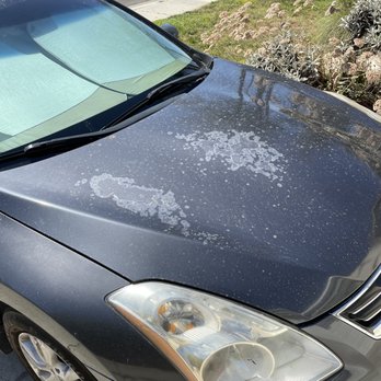 In-N-Out Collision Services - Before: sun damage from 14 years of non-covered parking on my Altima hood - Body Shops Near Me - Escondido, California In-N-Out Collision Services - Before: sun damage from 14 years of non-covered parking on my Altima hood - Body Shops Near Me - Escondido, California