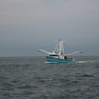 Super Hawk - Fishing Near Me - Point Lookout, New York