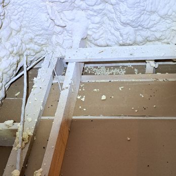 Hoyle Pest Professionals - Rats are constantly costing your more $$$!! - Pest Control Near Me Hoyle Pest Professionals - Rats are constantly costing your more $$$!! - Pest Control Near Me