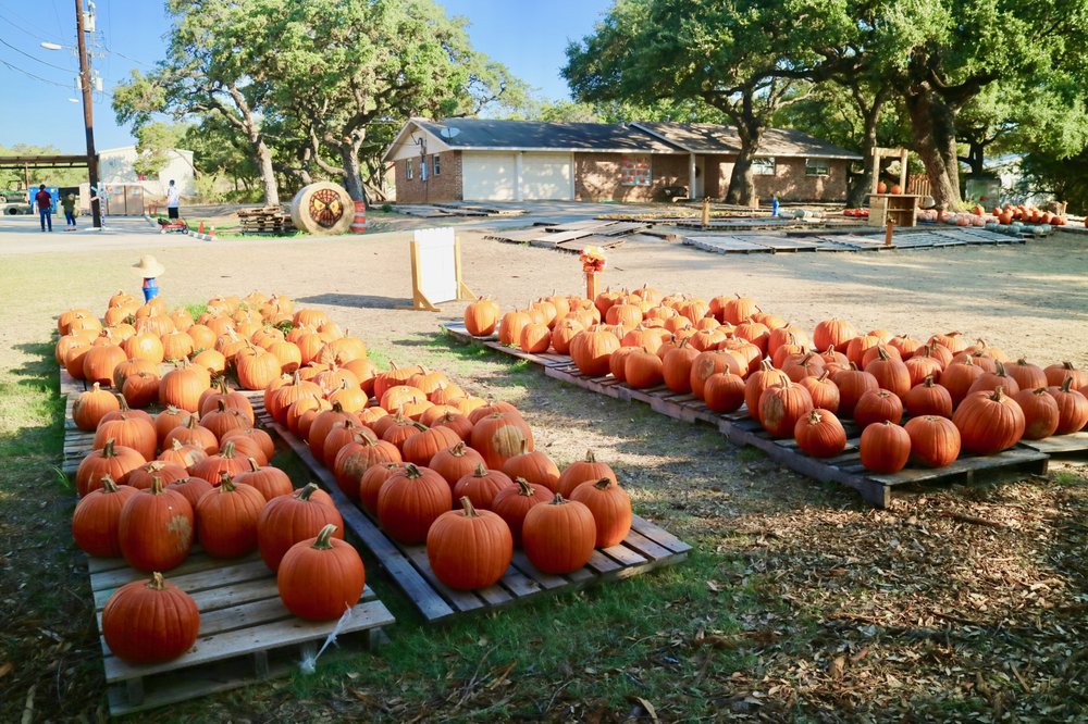 BRACKEN PUMPKIN PATCH 27 Photos 20377 Fm 2252, San Antonio, Texas