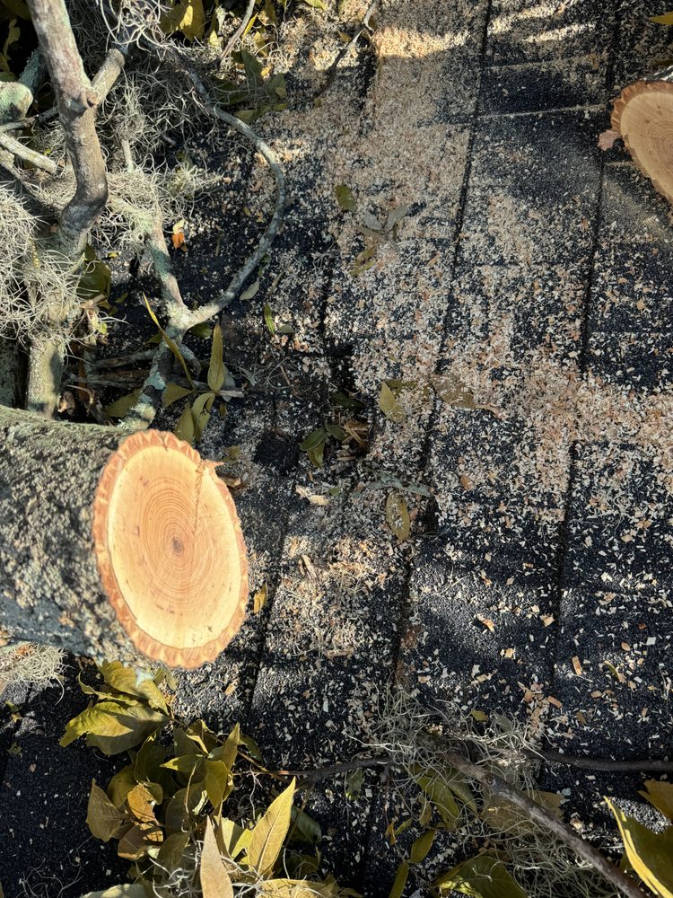 Tuffman Tree Services - tree service in Savannah, GA