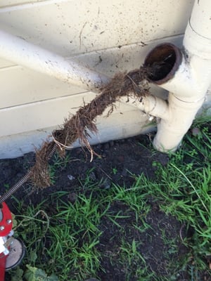 Sewer Line Snaking - Call or txt 510-875-5946 for free estimate! Sewer Line Snaking - Call or txt 510-875-5946 for free estimate!