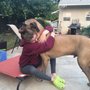 Photo of Pooch Buddies