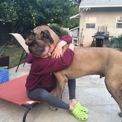 Pooch Buddies - Big dog love. We love them all. Big or little. Love is the name of the game.