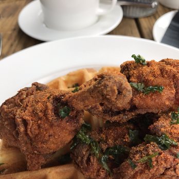 Stella San Jac - The fried chicken and waffle was excellent as was the bacon infused Bloody Mary. - New American Near Me - Austin, Texas Stella San Jac - The fried chicken and waffle was excellent as was the bacon infused Bloody Mary. - New American Near Me - Austin, Texas