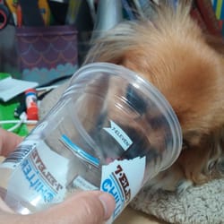 My dog apparently likes the French vanilla flavor.