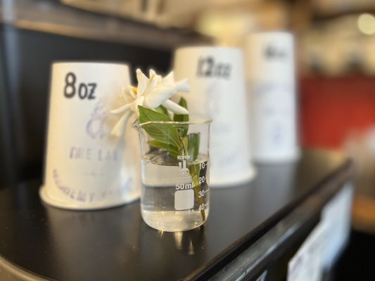 The Lab by Alchemy Coffee by null
