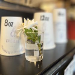 The Lab by Alchemy Coffee