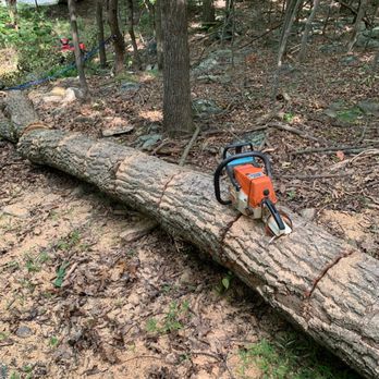 The Becka’s Wood - Tree Services Near Me The Becka’s Wood - Tree Services Near Me