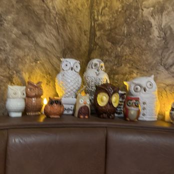 The Burrowing Owl - Owl decor - Lounges Near Me - Colorado Springs, Colorado The Burrowing Owl - Owl decor - Lounges Near Me - Colorado Springs, Colorado