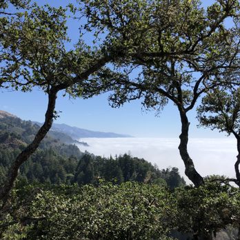 Nepenthe - Did I mention the View? - New American Near Me - Big Sur, California Nepenthe - Did I mention the View? - New American Near Me - Big Sur, California