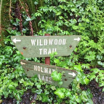 Forest Park - Parks Near Me - Portland, Oregon