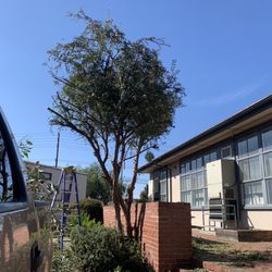 Overland Ave Elementary School