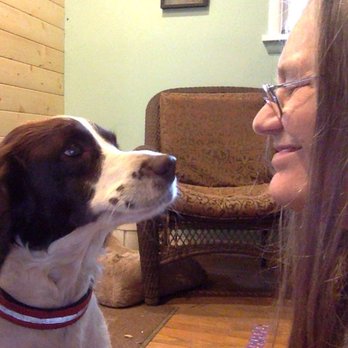 Your House & Pet Sitter - House Sitters Near Me Your House & Pet Sitter - House Sitters Near Me