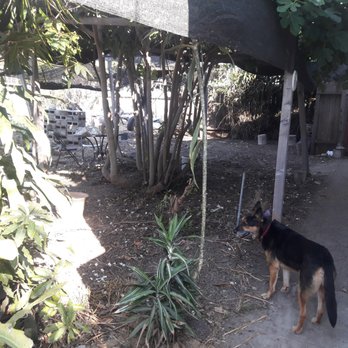 Clutter and Hoarding Pros - After - Side yard - Junk Removal & Hauling Near Me