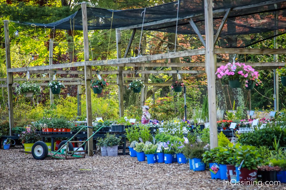 PINESBRIDGE NURSERY Updated June 2024 31 Photos 90 Pinesbridge Rd