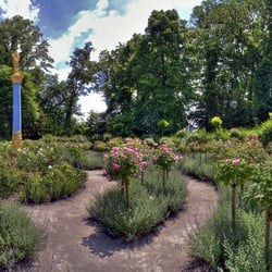Roseninsel - Das rosarium in voller blütenpracht