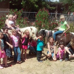 Step Up Into T.L.C - Pony parties! We Travel to you. Also painting ponies is a fun option or addition.
