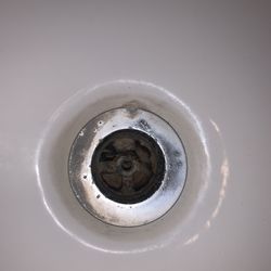 Holiday Inn Express & Suites Cuero - Hairy !! Gross