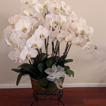 Eric Orchids - Florists Near Me - San Jose, California Eric Orchids - Florists Near Me - San Jose, California