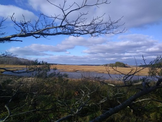 Mass Audubon Wellfleet Bay Wildlife Sanctuary by null