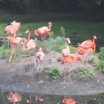 Bronx Zoo - Zoos Near Me - Bronx, New York