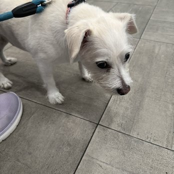 VEG ER for Pets - Emergency Pet Hospital Near Me - Katy, Texas VEG ER for Pets - Emergency Pet Hospital Near Me - Katy, Texas