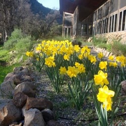 Chico Canyon Retreat