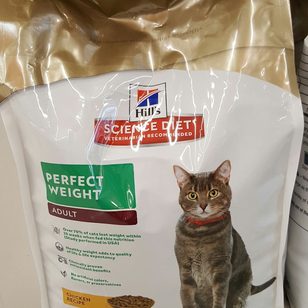 Petco - And still she stays fat.... - Pet Stores Near Me - Riverside, California Petco - And still she stays fat.... - Pet Stores Near Me - Riverside, California